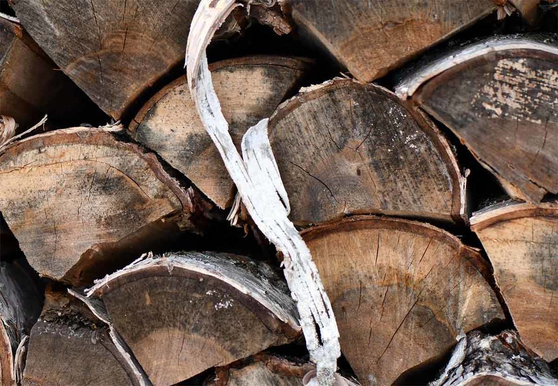 Hardwood firewood paper birch